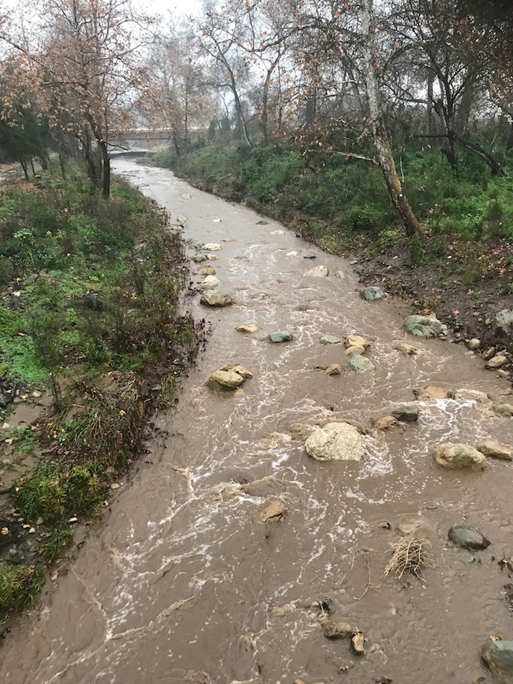 County Warns of Storm Water Health Risks