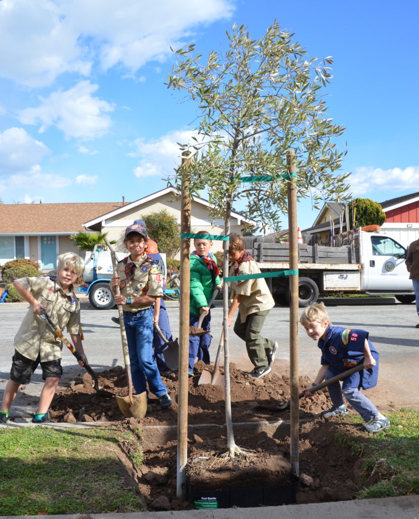 City and Scouts Celebrate Arbor Day