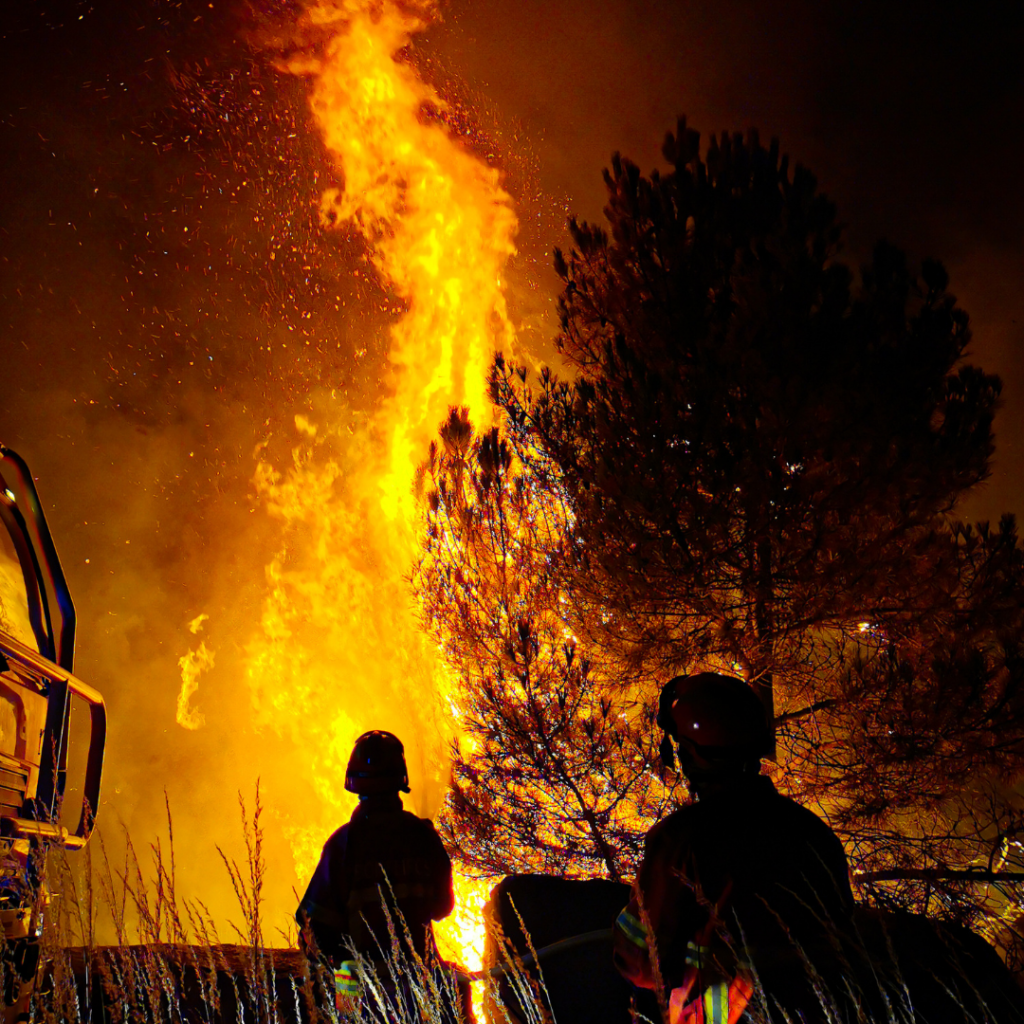 Free Wildfire Expo May 6-8