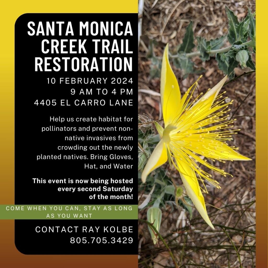 Join us Feb. 10 for trail beautification