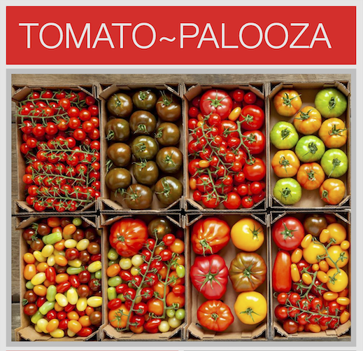 Tomato-palooza gardening class: March 2