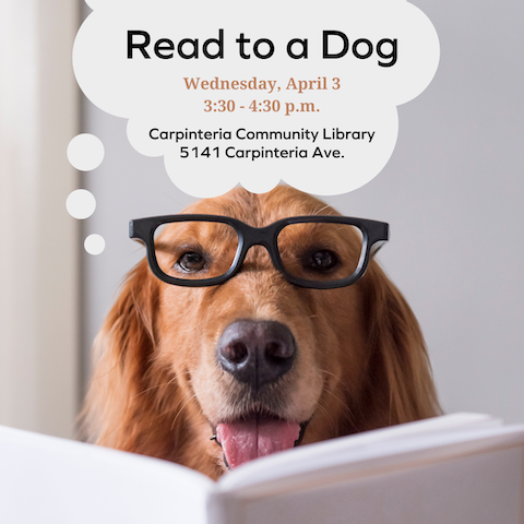 Read to a Dog: April 3