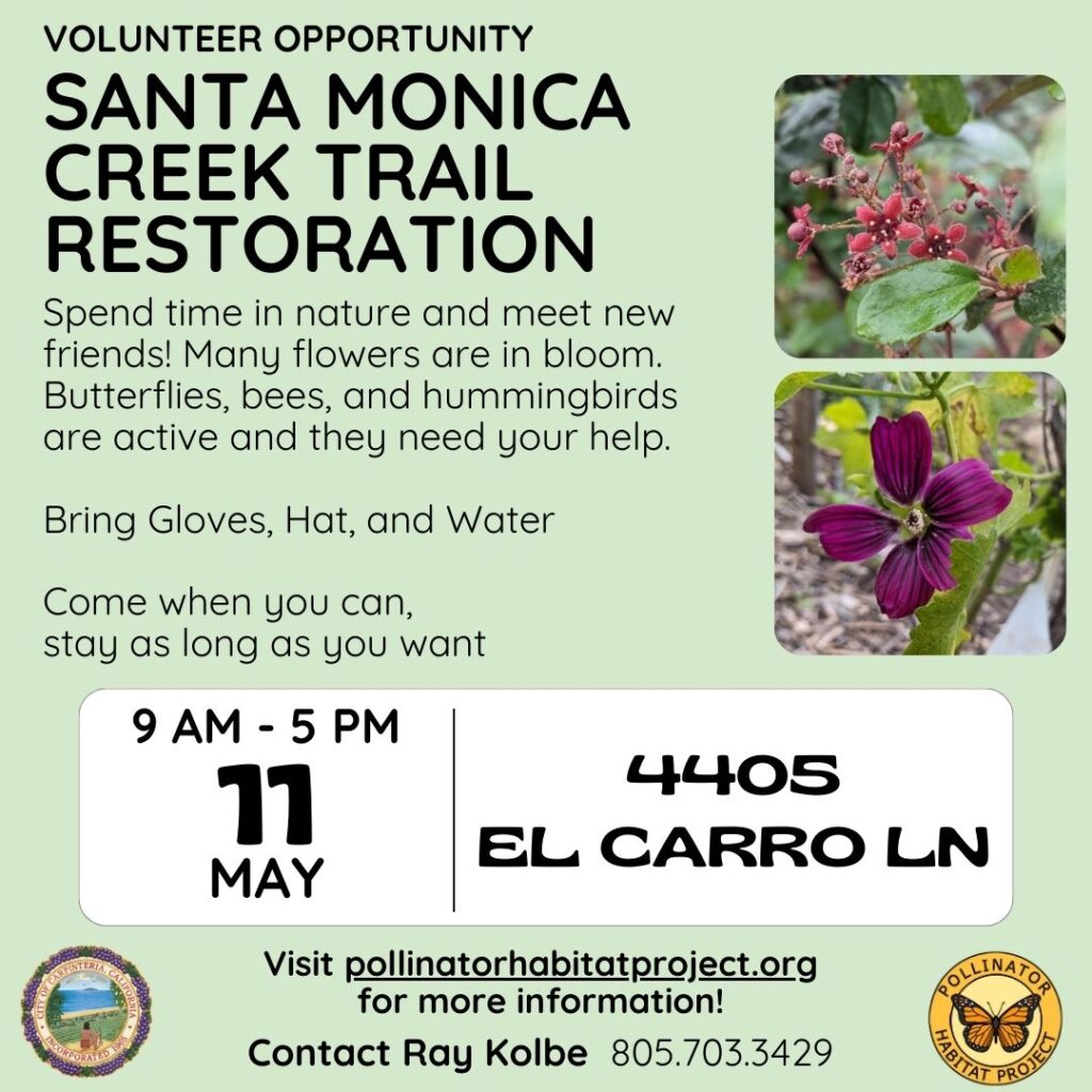 Santa Monica Trail Restoration: May 11