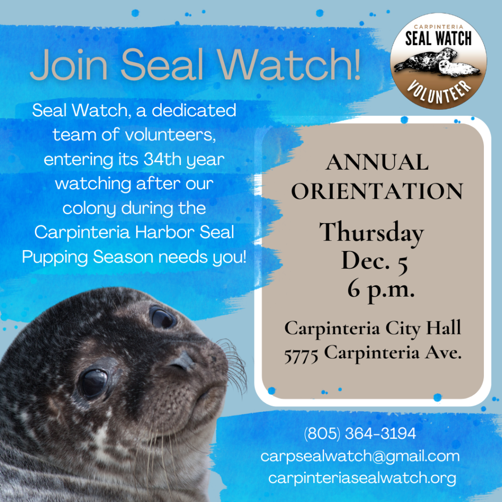 Seal Watch training: Dec. 5