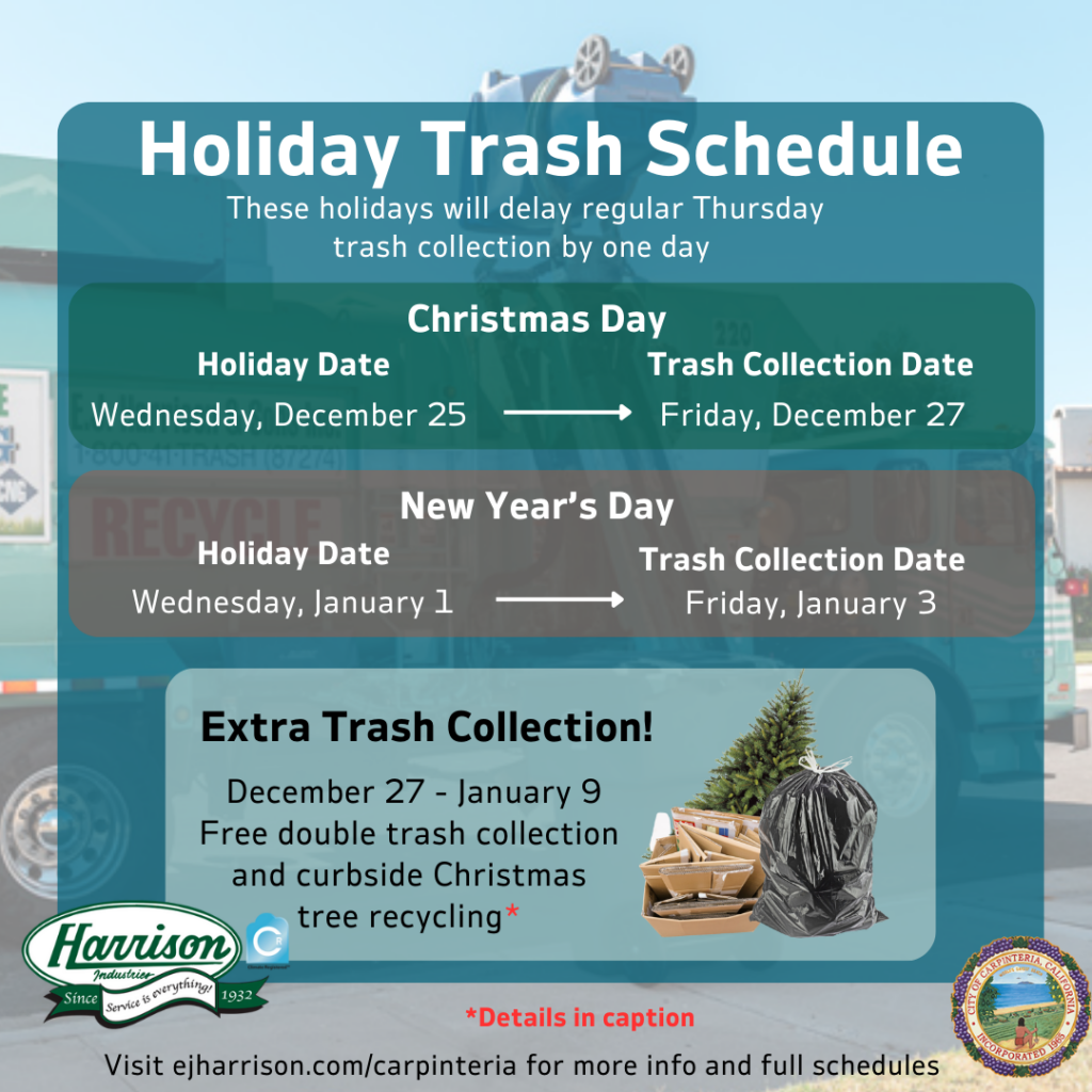 Double your trash and recycle your tree