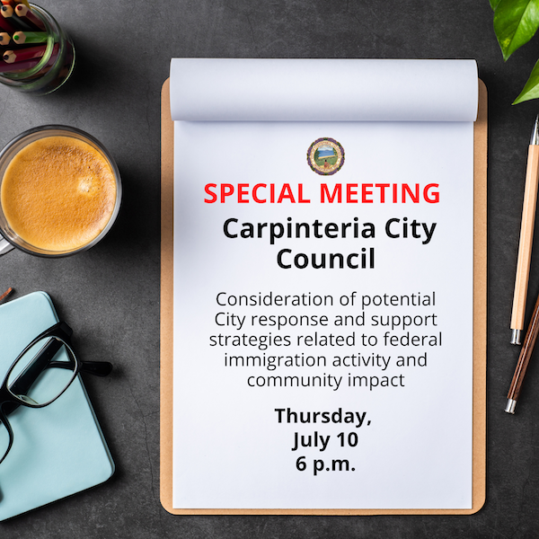 City Council to hold special meeting July 10