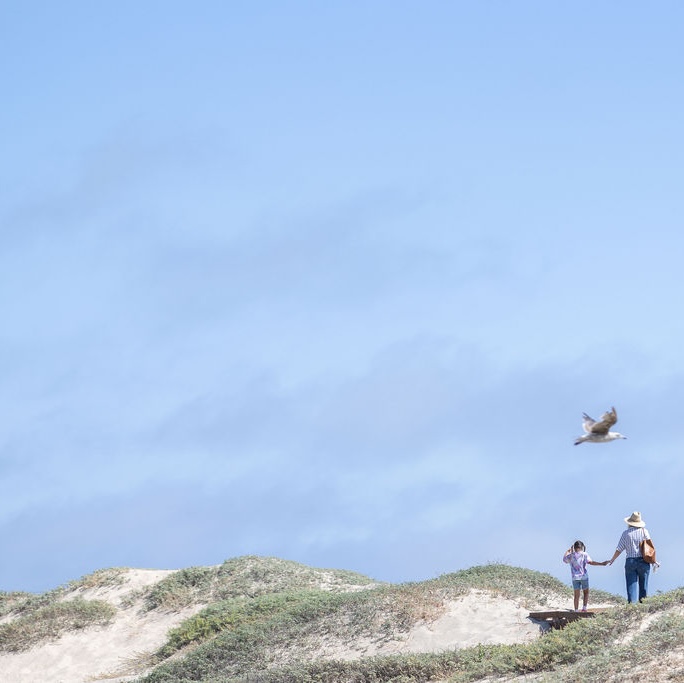 Join us for a Community Workshop about the Living Shoreline Project